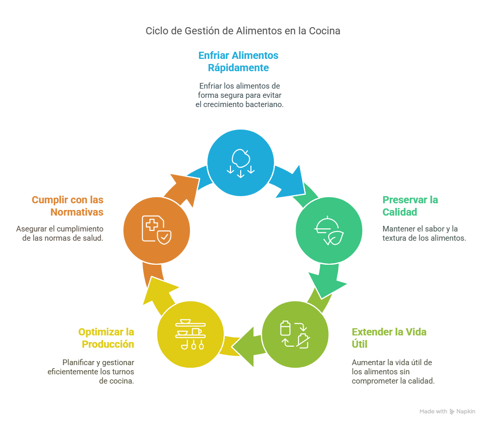 ciclo abatidores