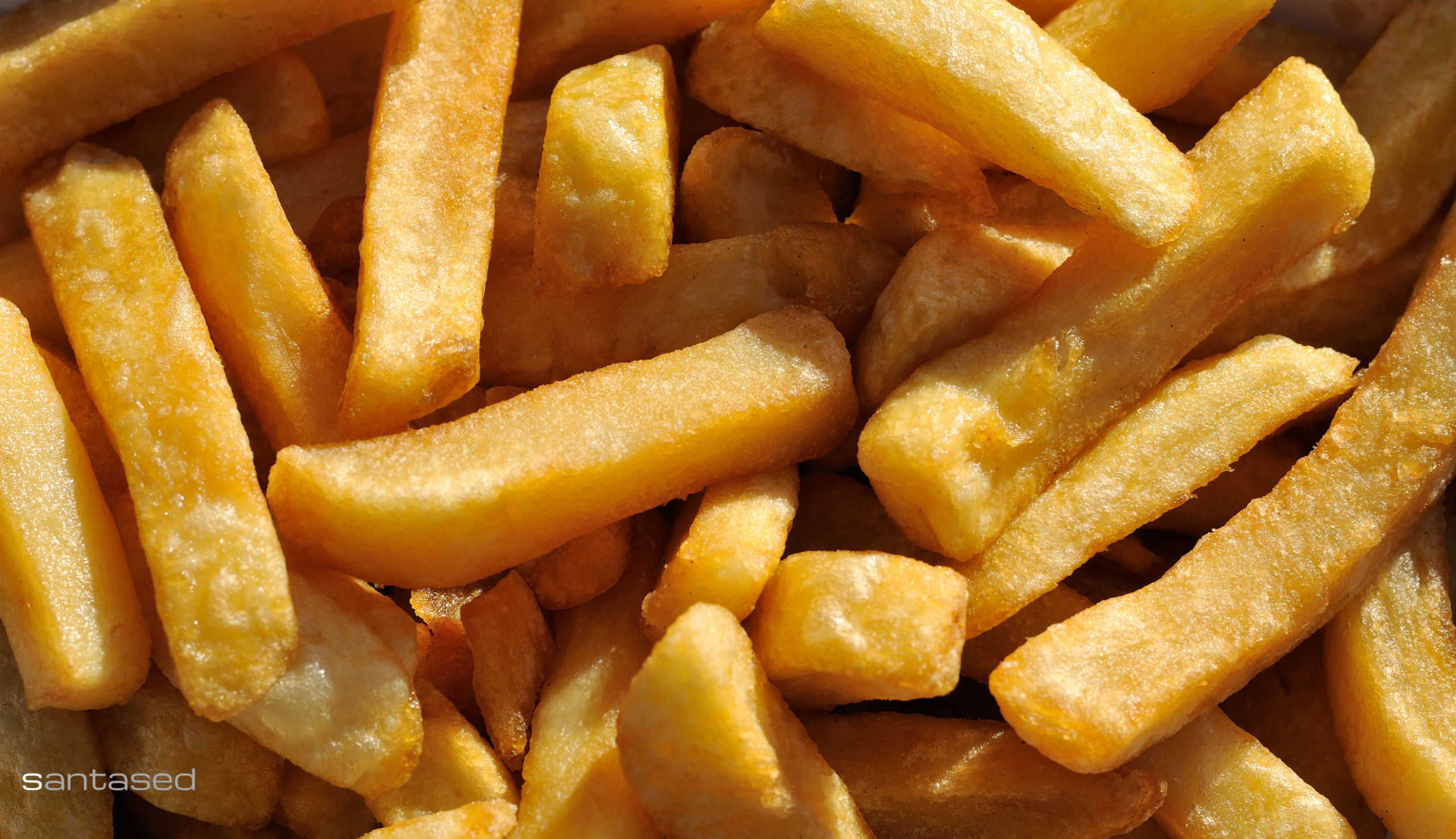 En este momento estás viendo 🍟 Cómo elegir la freidora adecuada para tu negocio de hostelería en 2026 (y evitar pérdidas invisibles cada día)